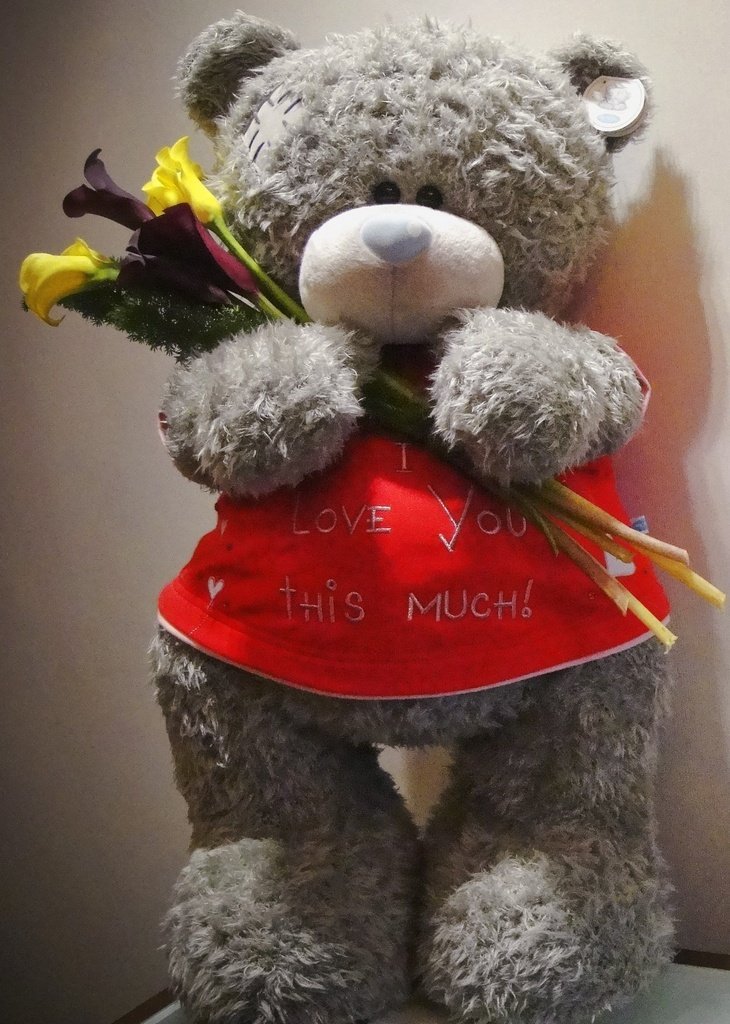 Blue Ribbon Florist and Gifts