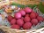 Food Factory Catering