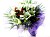 Primula Florist & Reef