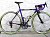 Elite Bicycles Asia