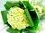 Denis Flower Shop