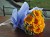 Gem Floriculture