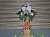 Daffodil Flowers & Gifts