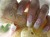 Joal's Nails