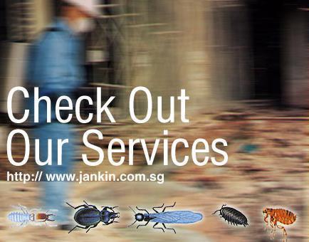 Jankin Services