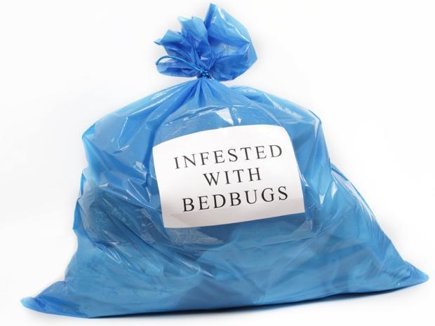 Signs You are Sleeping with Bed Bugs