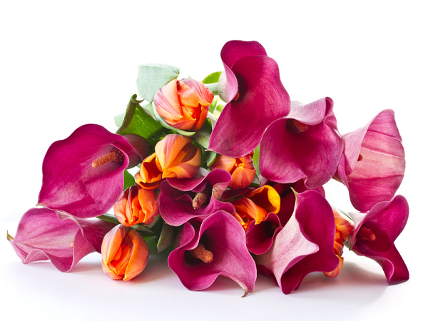Meaningful flowers to give on Valentine's that aren't roses