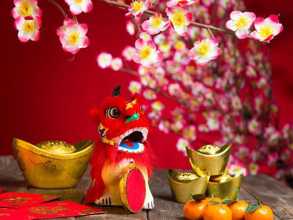 A Visitor's Guide to Celebrating Chinese New Year